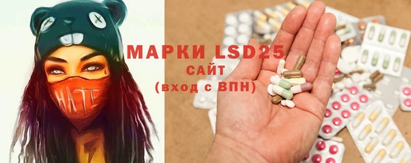 дживик Абинск