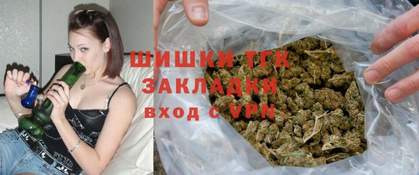дживик Абинск