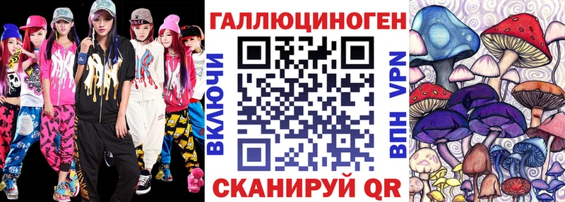мега ссылка  купить наркотик  Тайга  Галлюциногенные грибы Psilocybe 